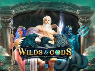 Wilds & Gods game thumbnail